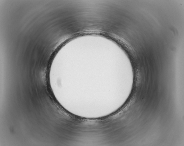 X0000111251162200908131201