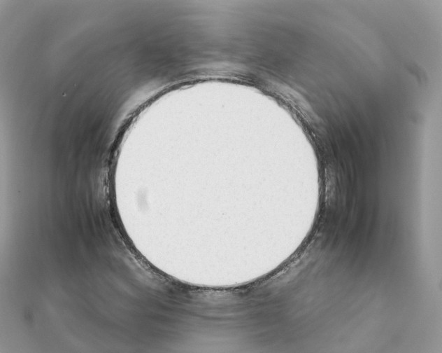 X0000111251164200908131201