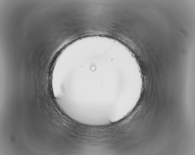 X0000111251165200908131201