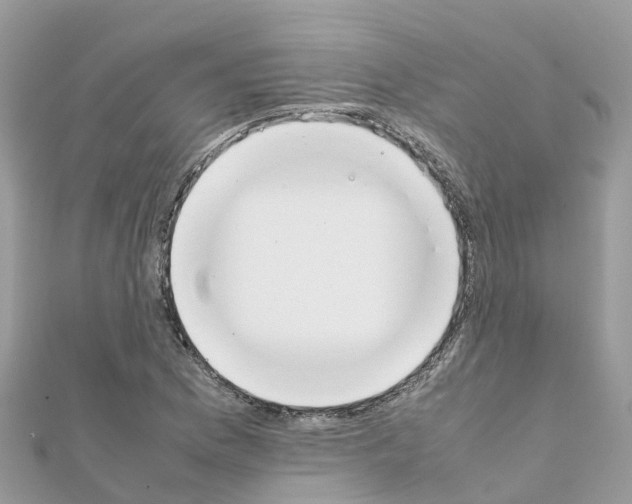 X0000111251169200908131201