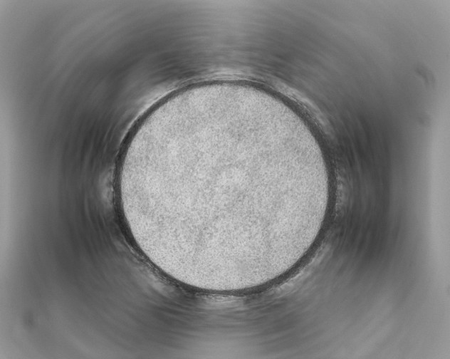 X0000111251170200908131201