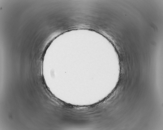 X0000111251171200908131201