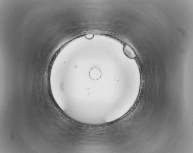 X0000111251173200908131201