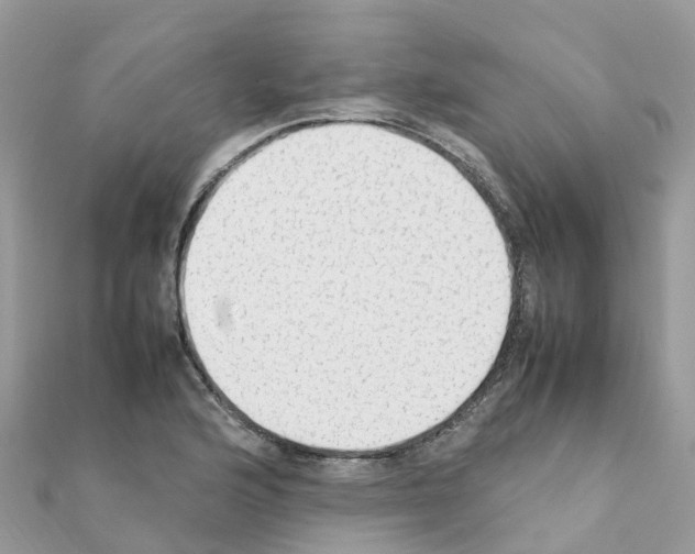 X0000111251176200908131201