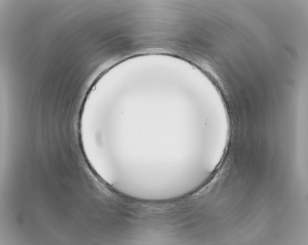 X0000111251181200908131201