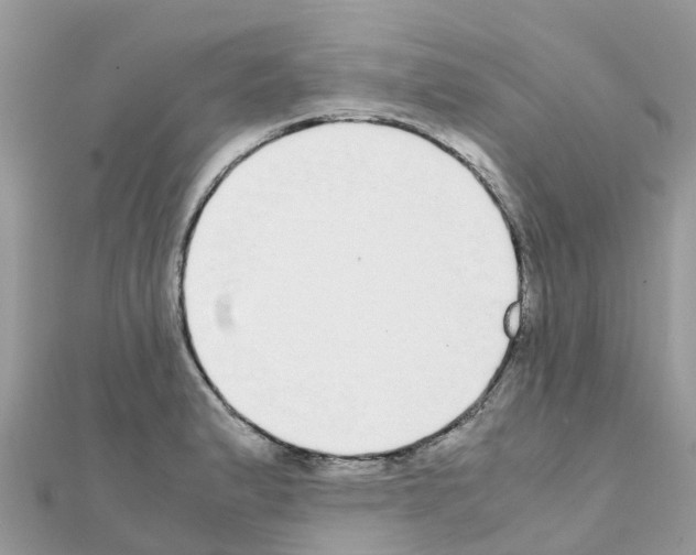 X0000111251183200908131201