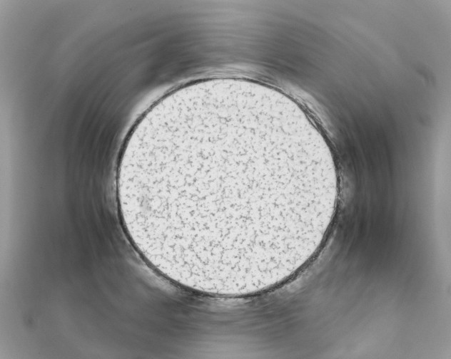 X0000111251184200908131201