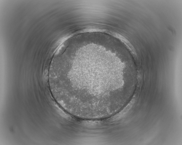 X0000111251185200908131201