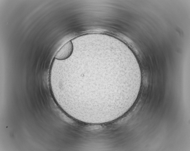 X0000111251186200908131201