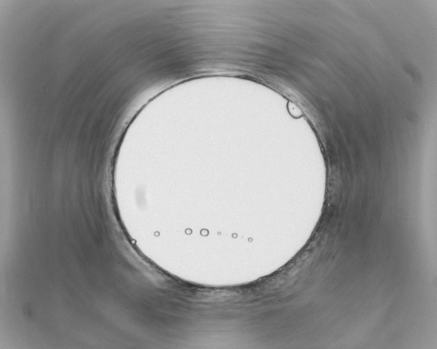 X0000111251187200908131201