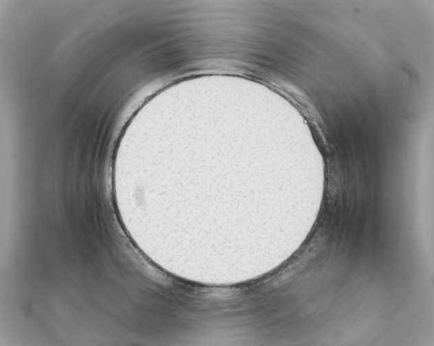 X0000111251188200908131201