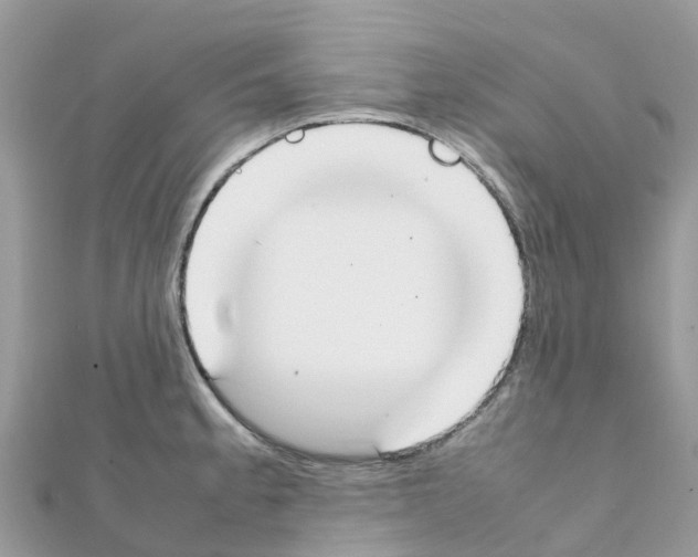 X0000111251189200908131201