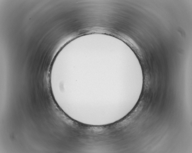 X0000111251190200908131201