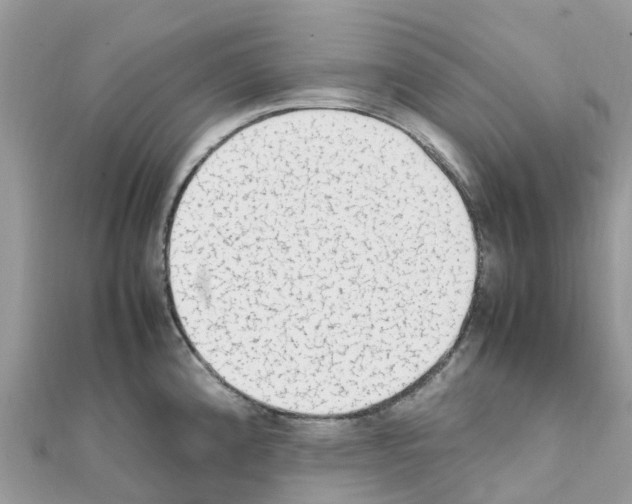 X0000111251192200908131201