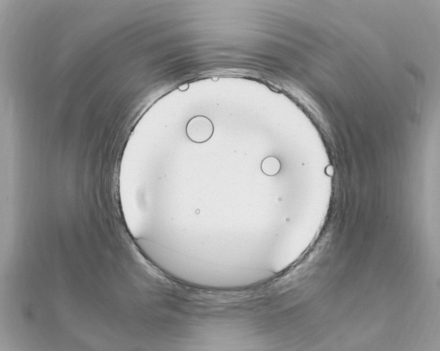 X0000111251193200908131201