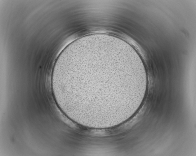 X0000111251194200908131201