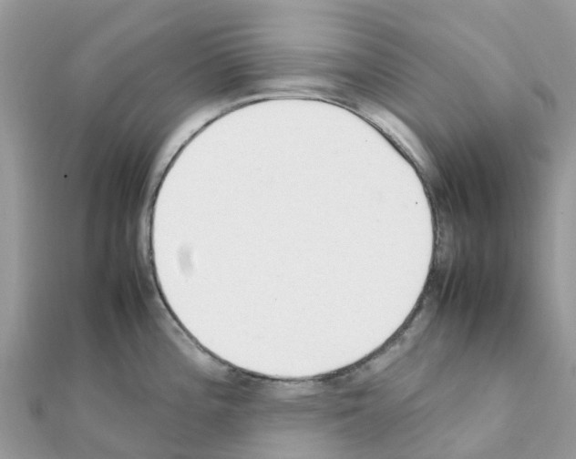 X0000111251196200908131201