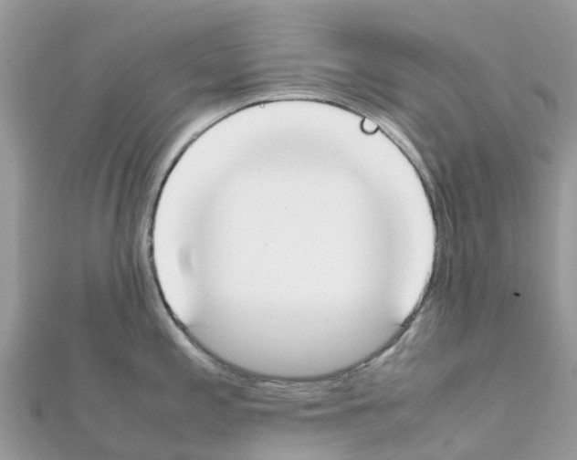 X0000111251197200908131201