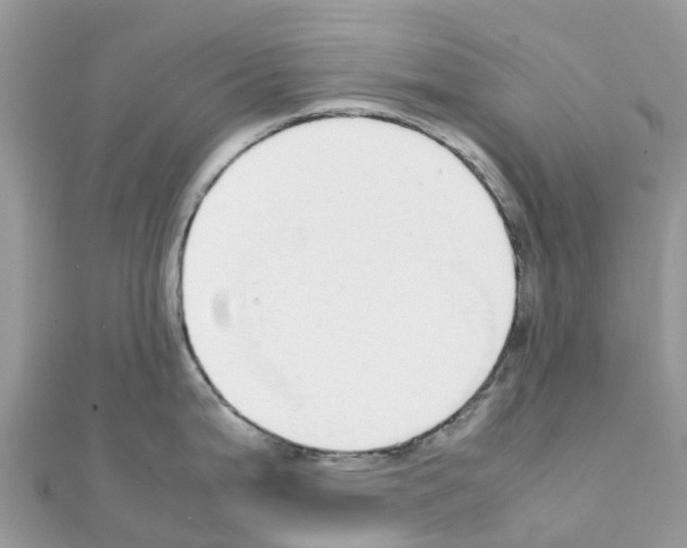 X0000111251199200908131201