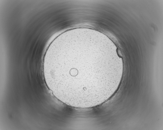 X0000111251200200908131201