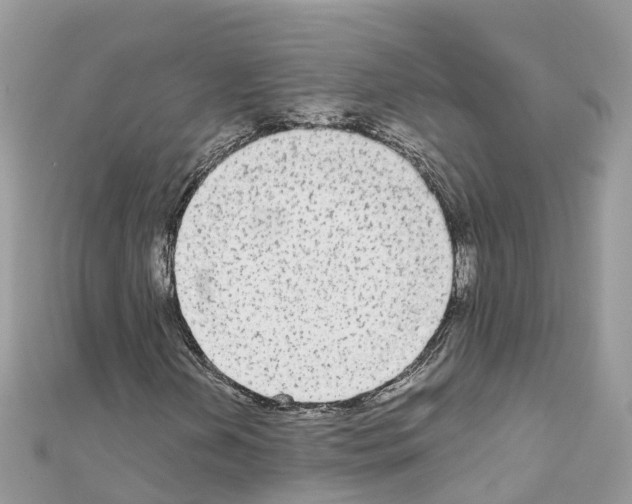 X0000111251202200908131200