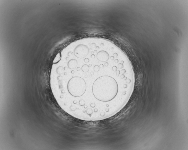 X0000111251205200908131200