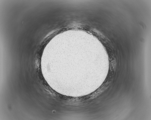 X0000111251206200908131200