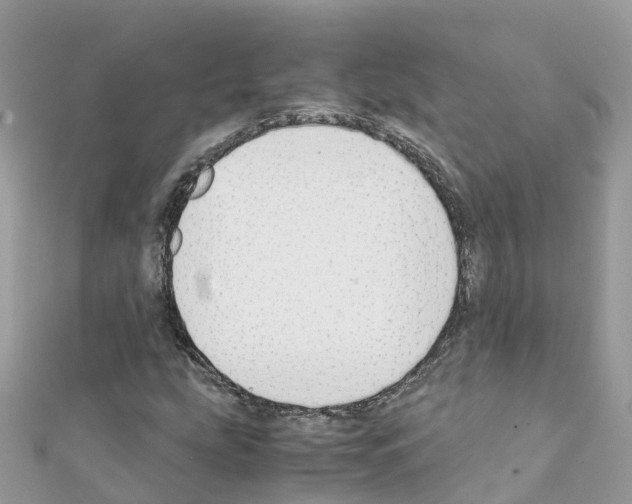 X0000111251207200908131200