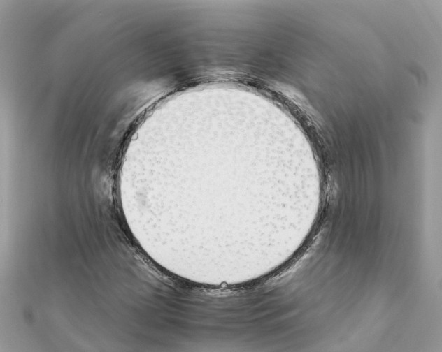 X0000111251209200908131200