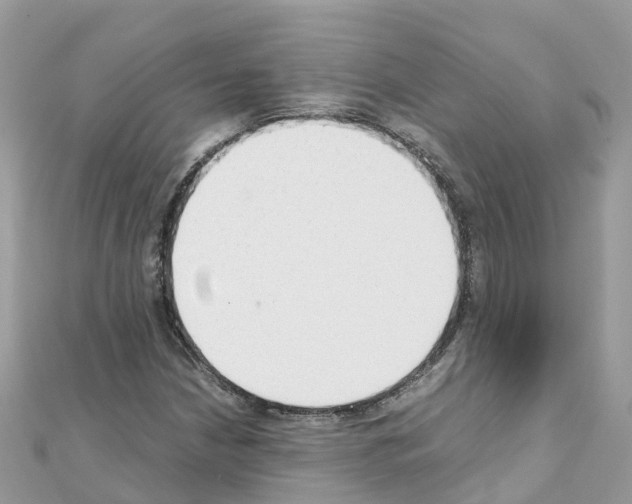 X0000111251210200908131200