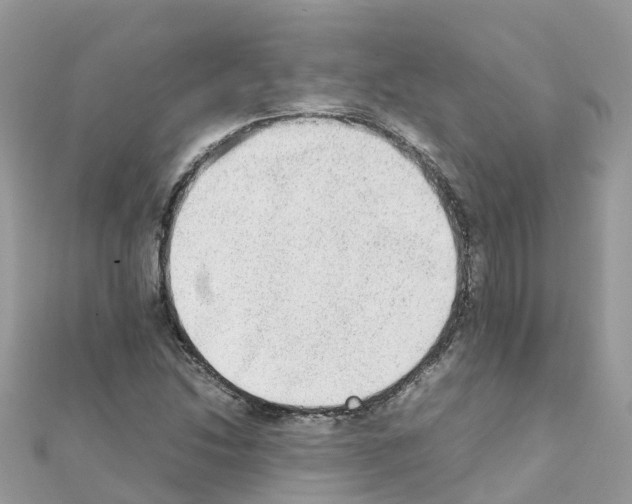 X0000111251214200908131200