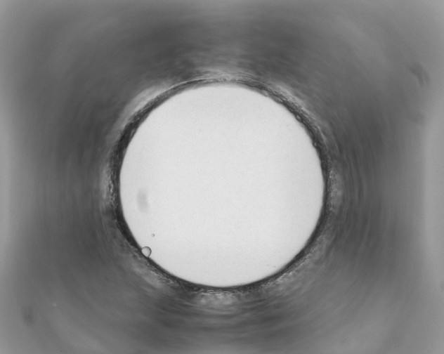 X0000111251215200908131200