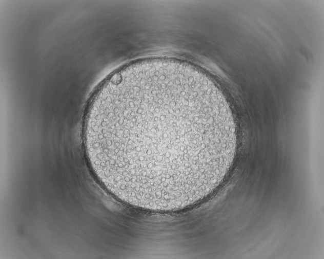 X0000111251216200908131200