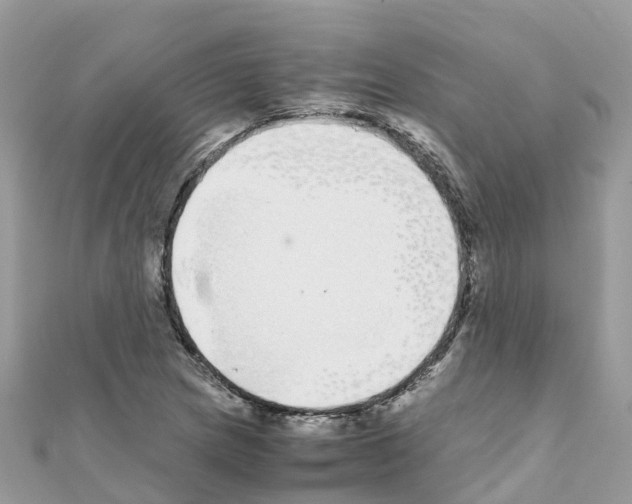 X0000111251217200908131200