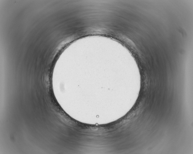 X0000111251218200908131200