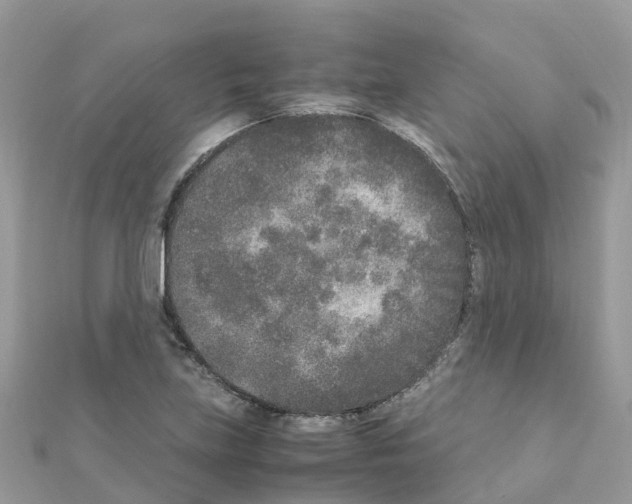 X0000111251219200908131200