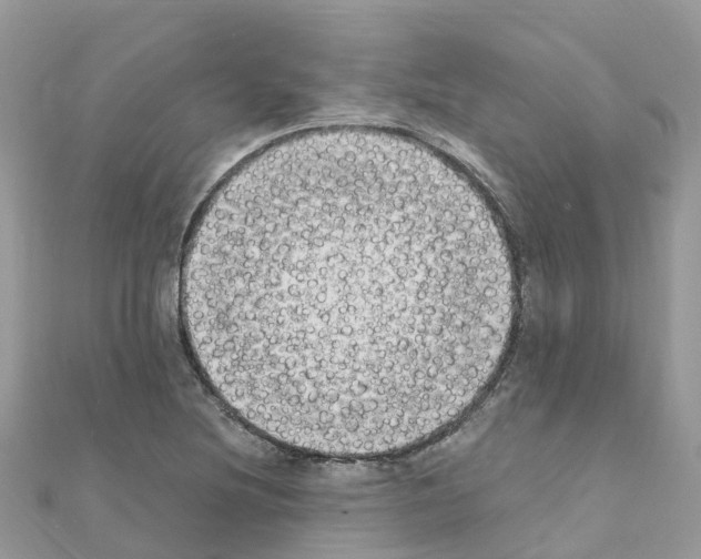 X0000111251220200908131200