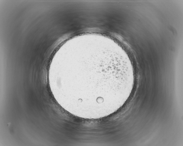 X0000111251221200908131200