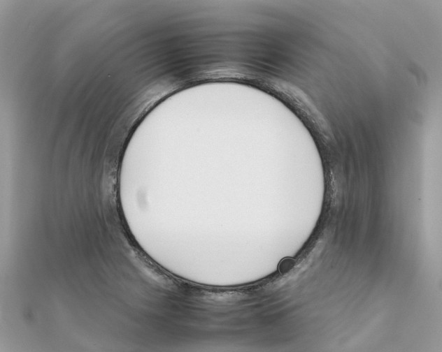 X0000111251225200908131200