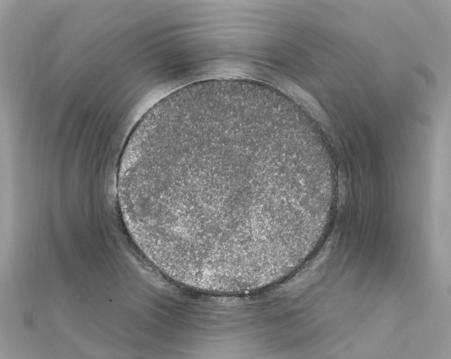 X0000111251226200908131200