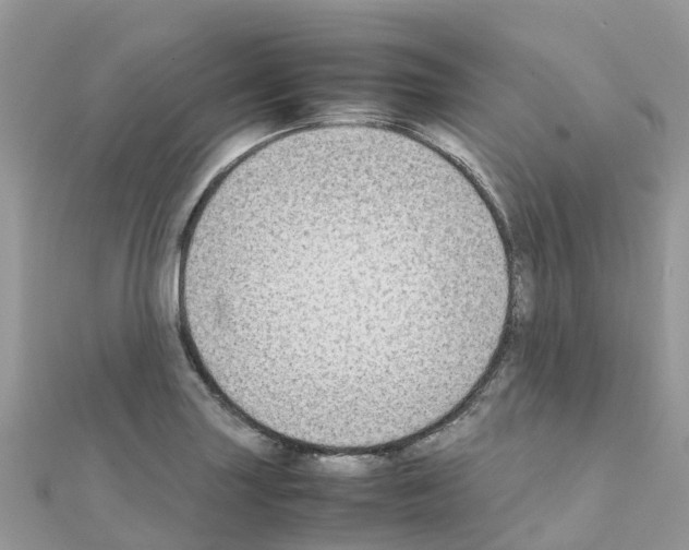 X0000111251227200908131200