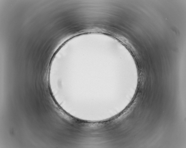 X0000111251228200908131200