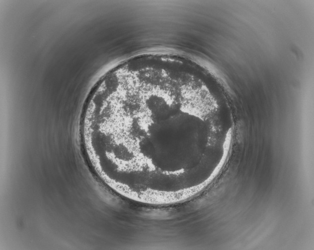 X0000111251229200908131200