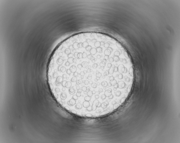 X0000111251230200908131200