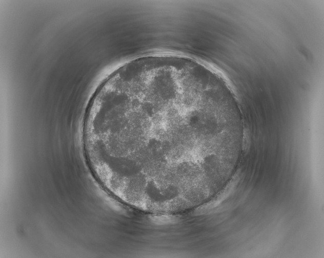 X0000111251231200908131200