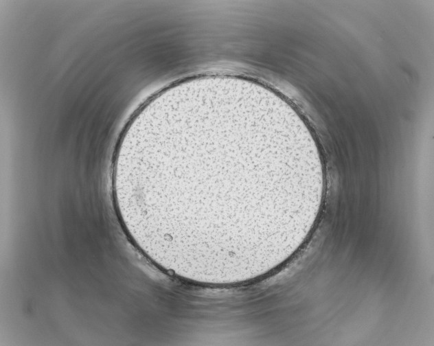 X0000111251232200908131200