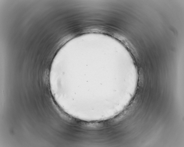 X0000111251233200908131200