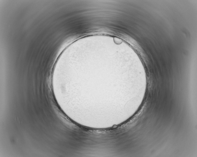 X0000111251234200908131200