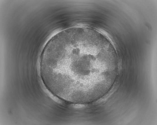 X0000111251235200908131200