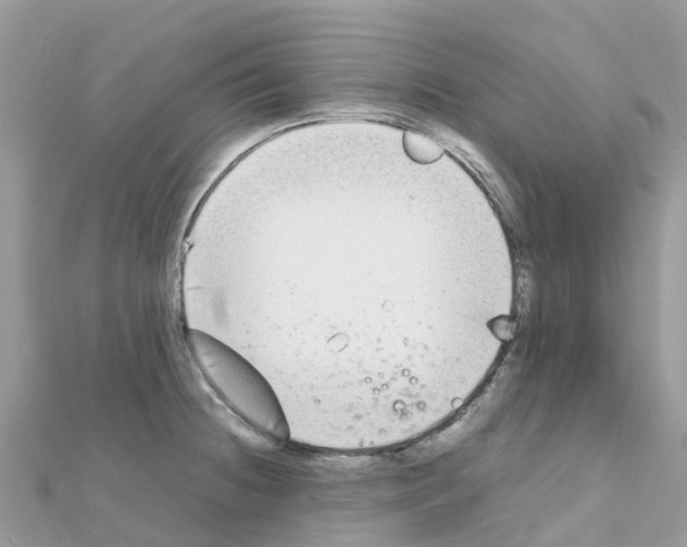 X0000111251236200908131200